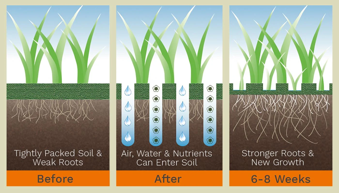 Original core aeration guide: before, tightly packed soil and weak roots; after, air, water and nutrients can enter soil; six to eight weeks, stronger roots and new growth.