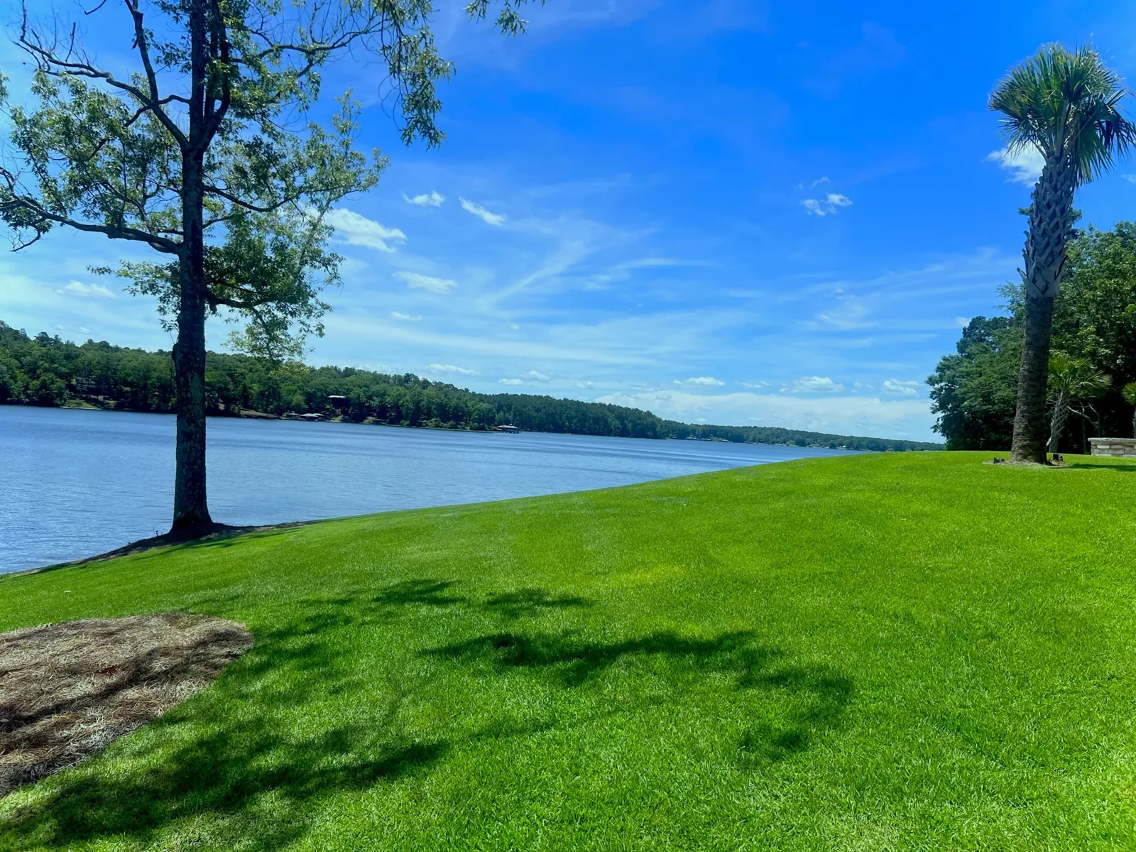 A green lawn shaded by trees along the shore of Lake Sinclair